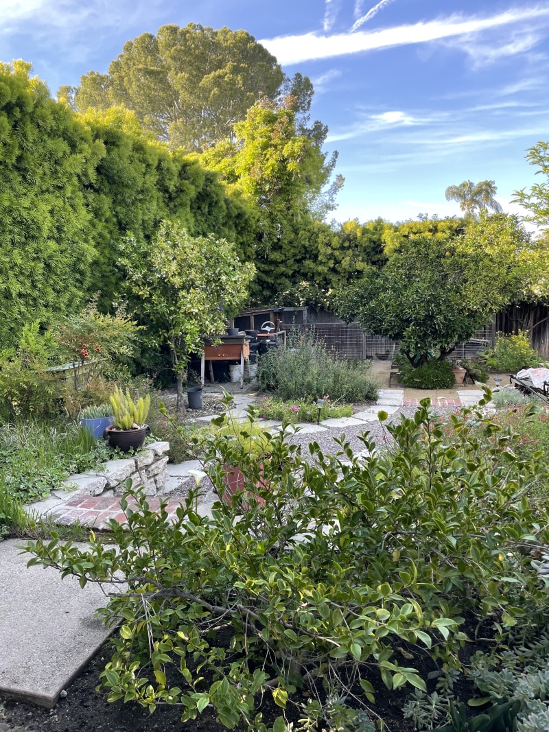 A6A4B26F-59E2-488A-9B01-CD62A9418534